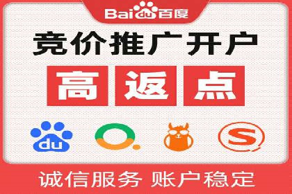 SEM广告案例：数据分析驱动营销决策